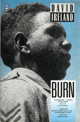 BURN book cover