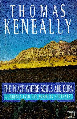 THE PLACE WHERE SOULS ARE BORN book cover